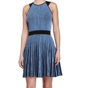 Opening Ceremony Stripe Flare Dress S